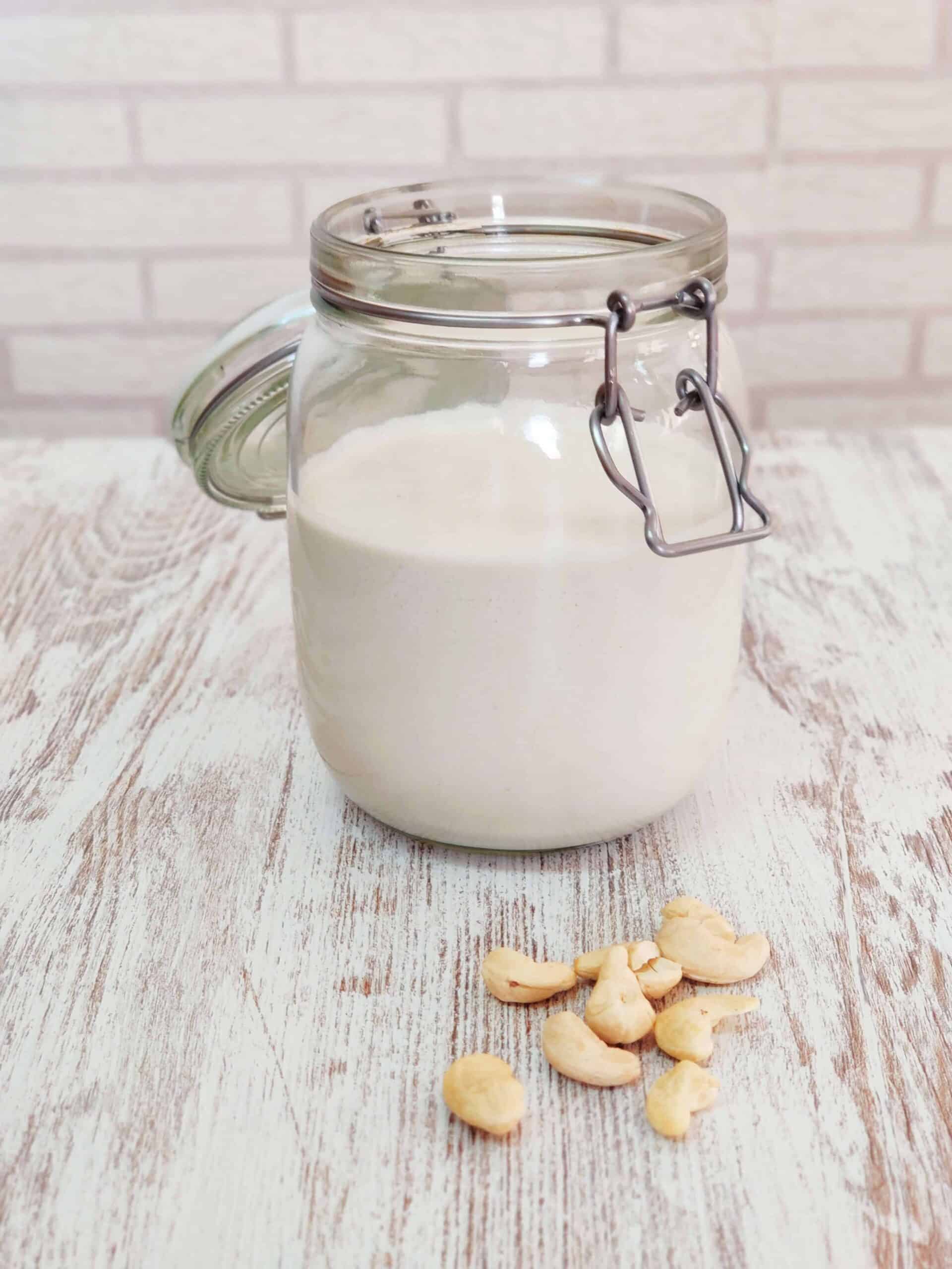 Yogur vegano probiótico