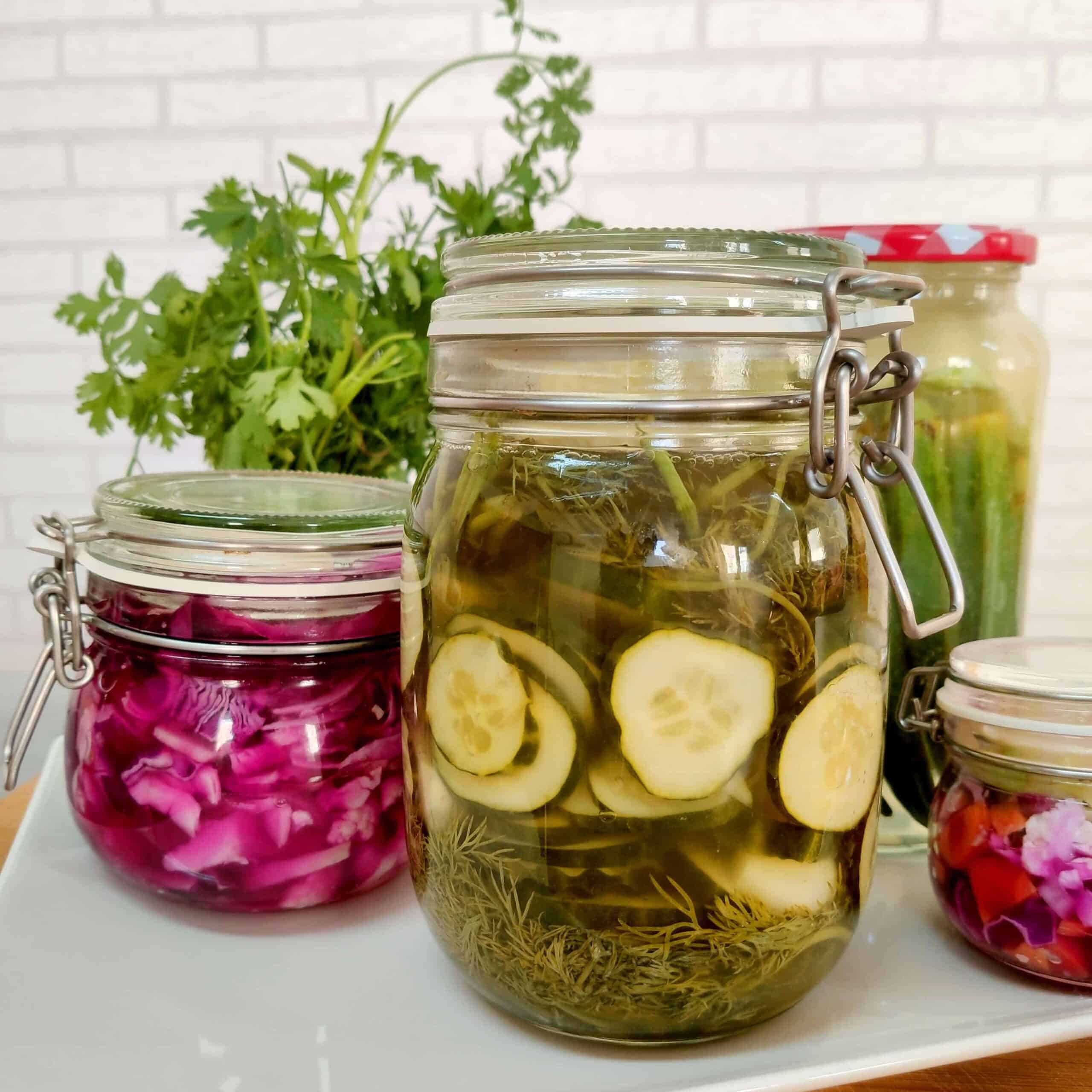 Curso online de fermentación de vegetales y probióticos caseros