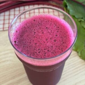 Curso de Frutas y Bebidas Probióticas