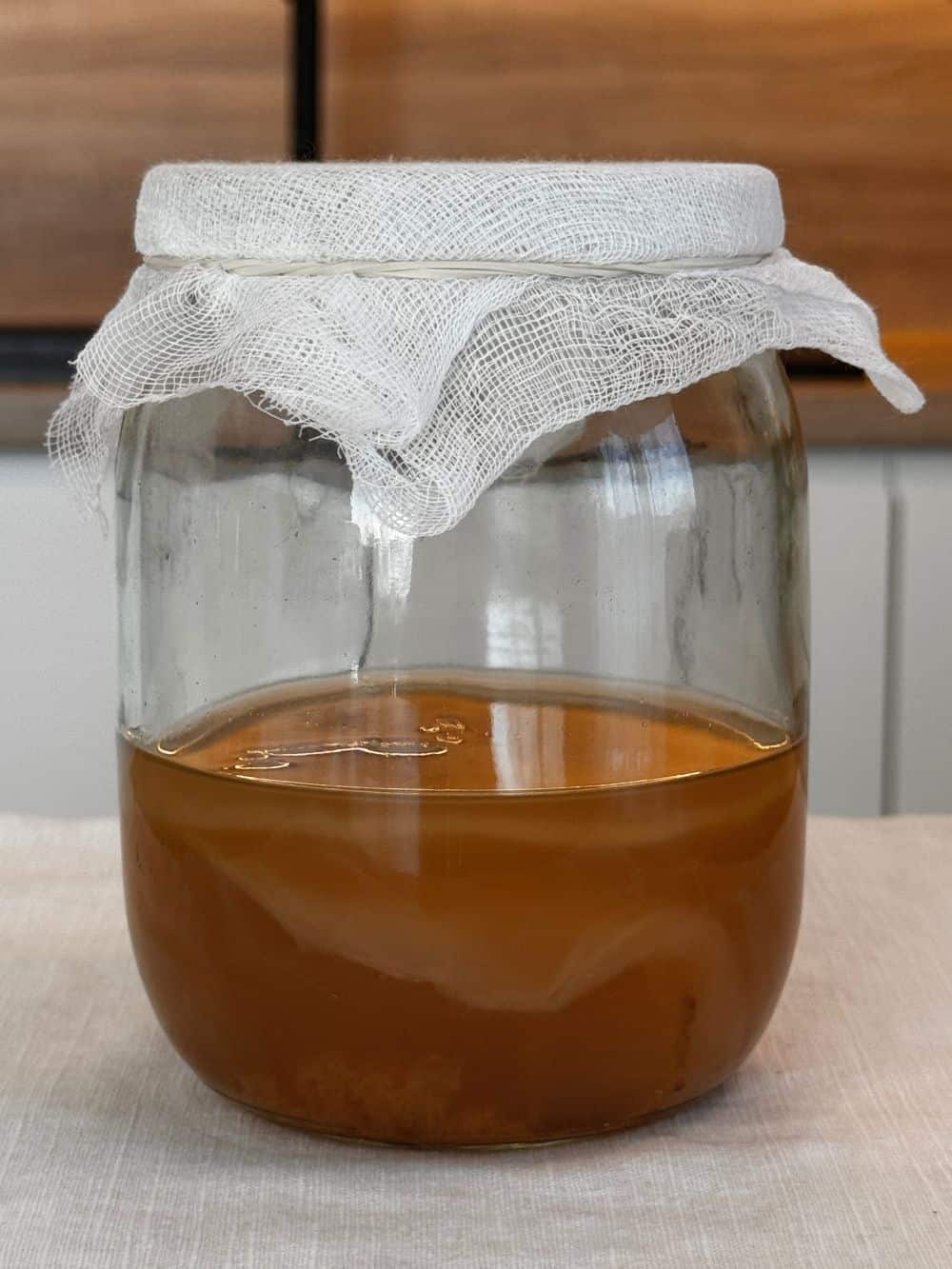Kombucha desde cero sin disco
